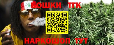 твердый Гусев