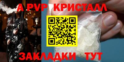 твердый Гусев