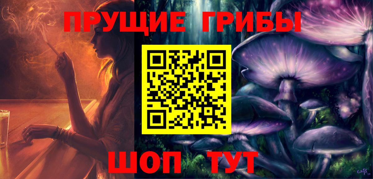 Псилоцибиновые грибы прущие грибы Гуково